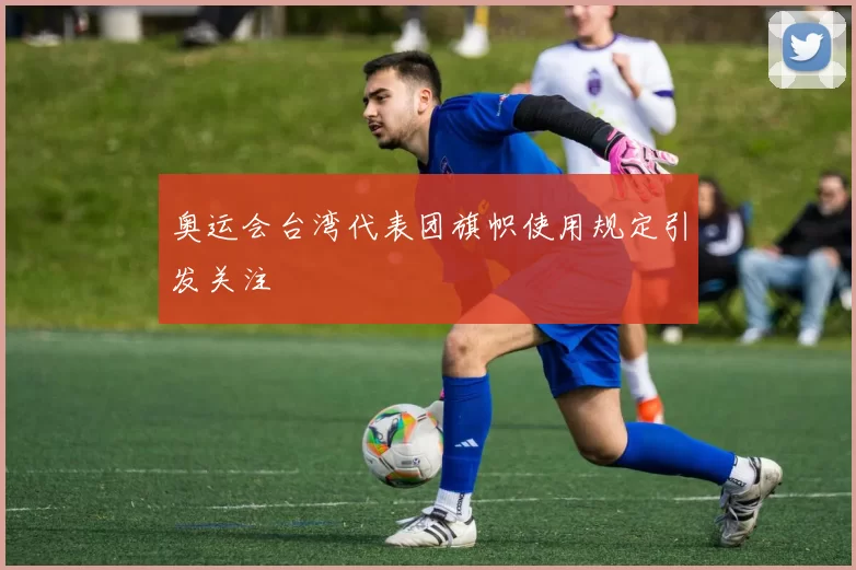 奥运会台湾代表团旗帜使用规定引发关注