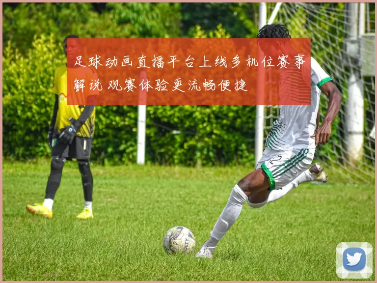 足球动画直播平台上线多机位赛事解说 观赛体验更流畅便捷