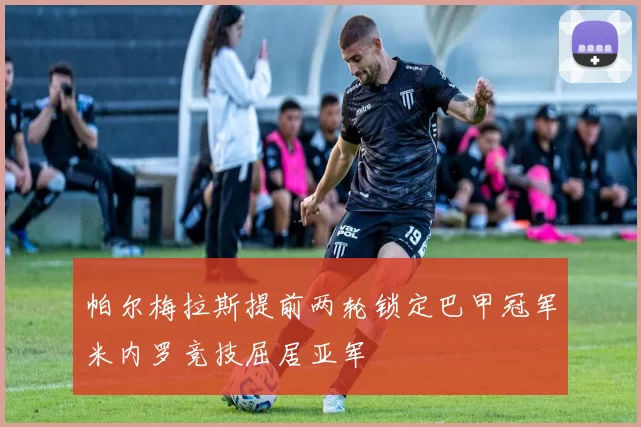 帕尔梅拉斯提前两轮锁定巴甲冠军米内罗竞技屈居亚军