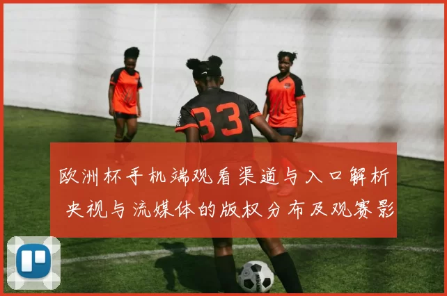 欧洲杯手机端观看渠道与入口解析 央视与流媒体的版权分布及观赛影响