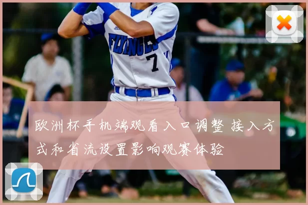 欧洲杯手机端观看入口调整 接入方式和省流设置影响观赛体验