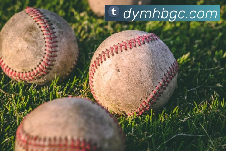 奖项2